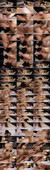 6.jpeg